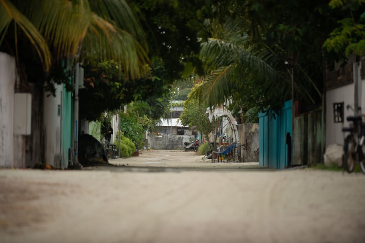 ވިސްނުމަކީ މިހާރު ހުރި ލޭންޑް ޔޫސް ޕްލޭންތަކަށް އަމަލުކުރުން