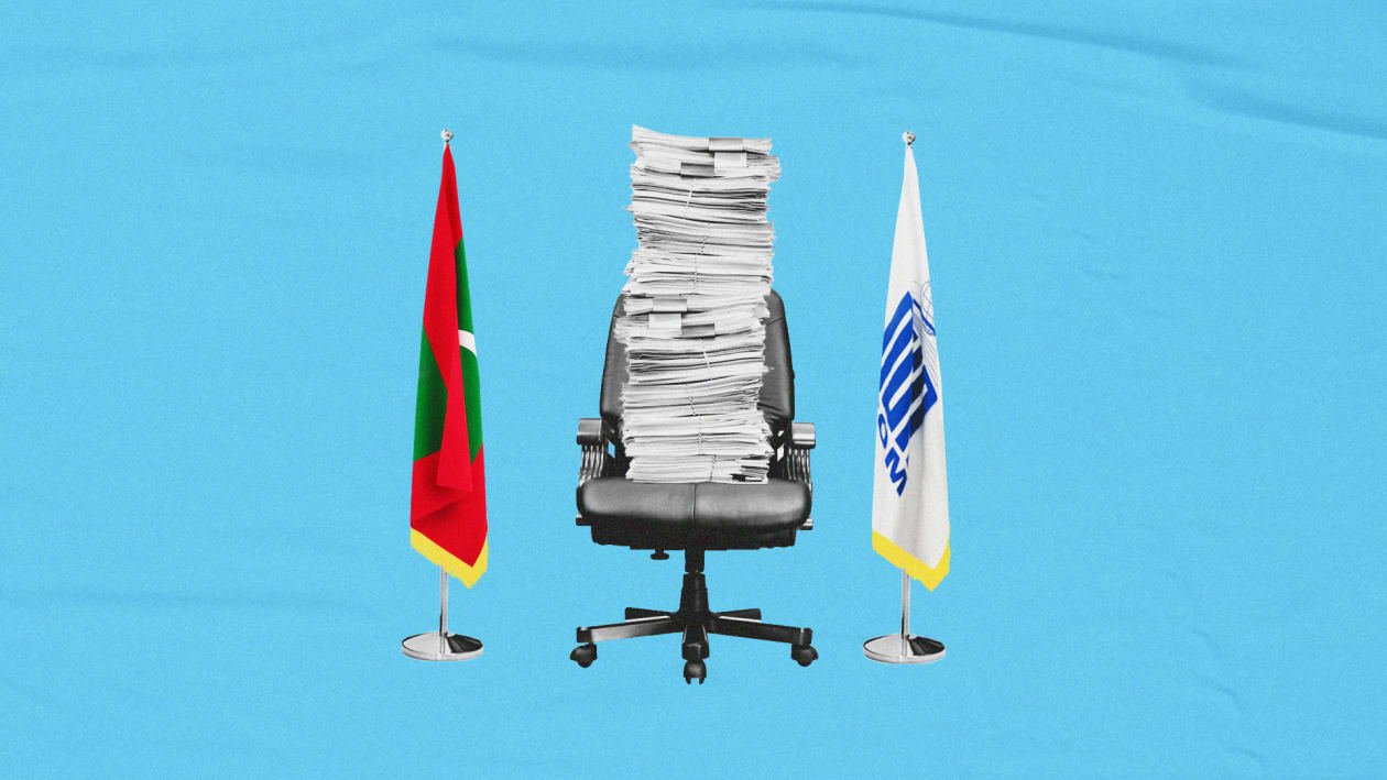 އެސްއޯއީތަކަށް އިންފޮމޭޝަން އޮފިސަރުން އައްޔަނުކުރަން އަންގައިފި