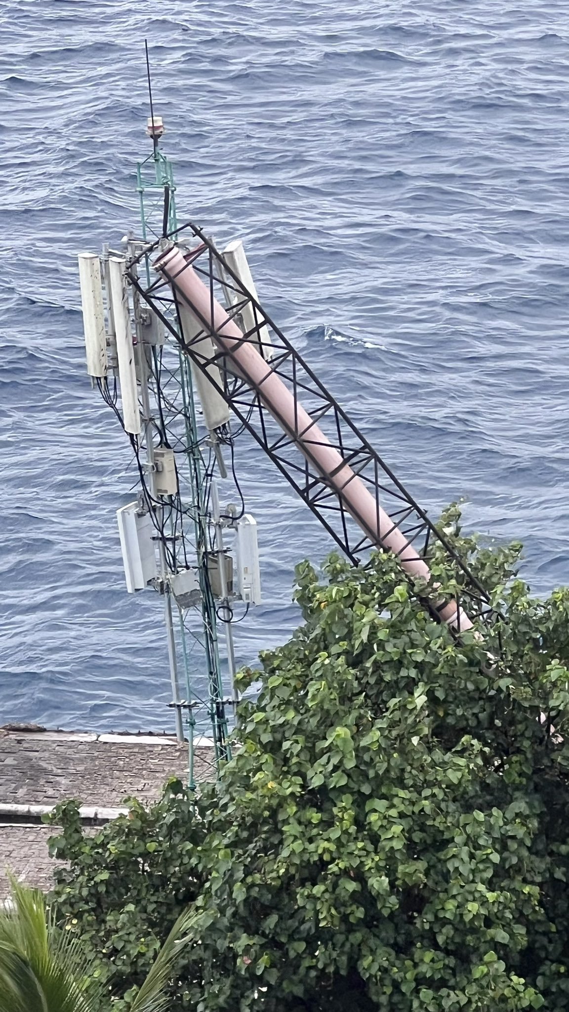 އެމްޑަބްލިއުއެސްސީގެ ހޮޅިއެއް ވެއްޓި އެންޓަނާއަކަށް ގެއްލުން