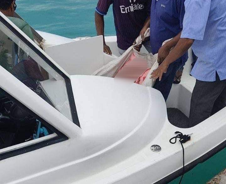 އެމްބިއުލާންސެއް ނެތް، ބަލިމީހާ އުފުލީ ފޮތިގަނޑެއްގައި