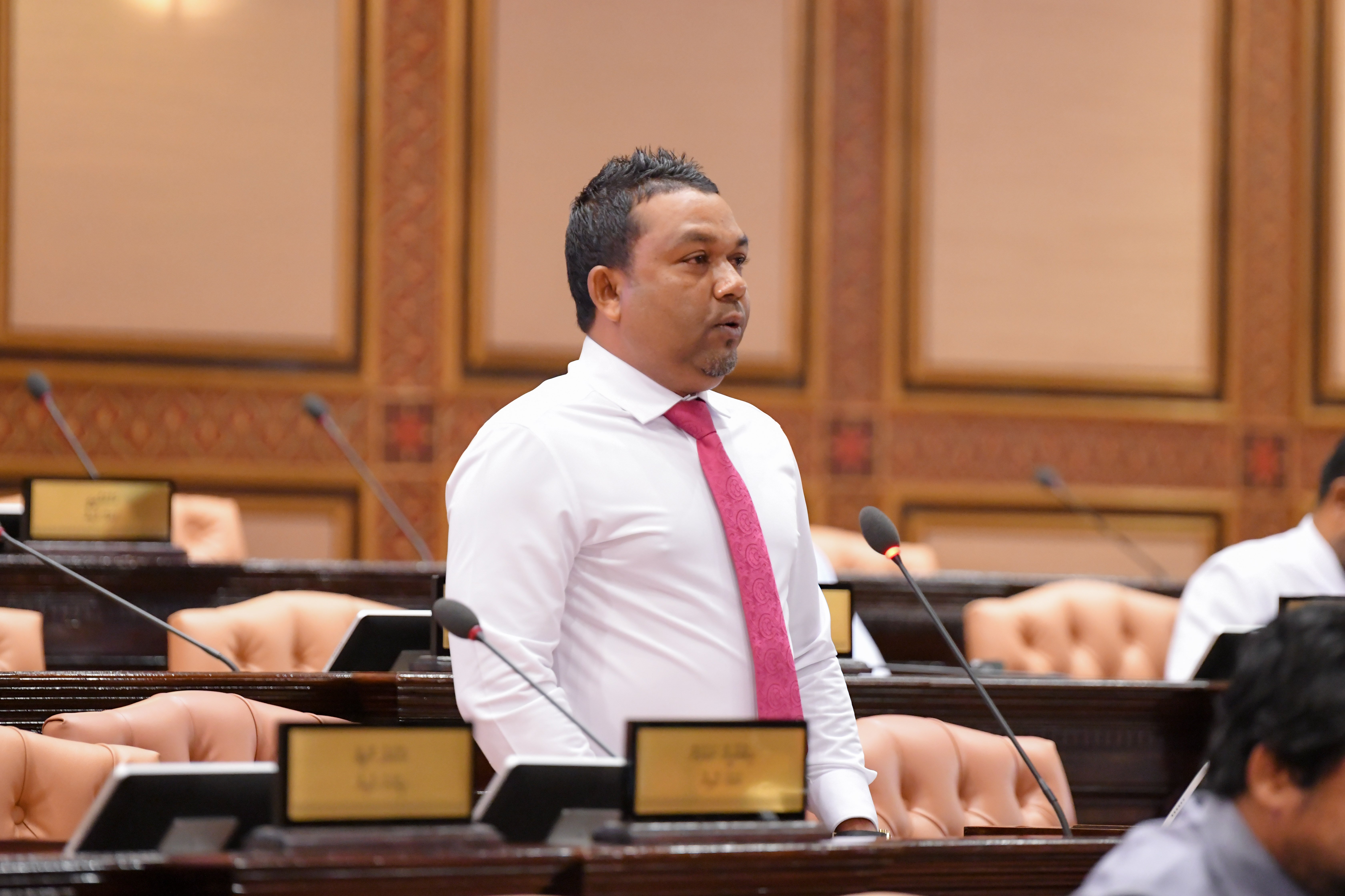 ބާރުގަދަ ވަޒީރުންނާ ފައިޓު ދެވޭނެ މެންބަރުންނެއް ނެތް: އަސްލަމް