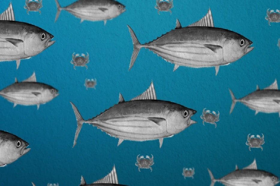 Solve crab deaths mystery to save skipjack tuna