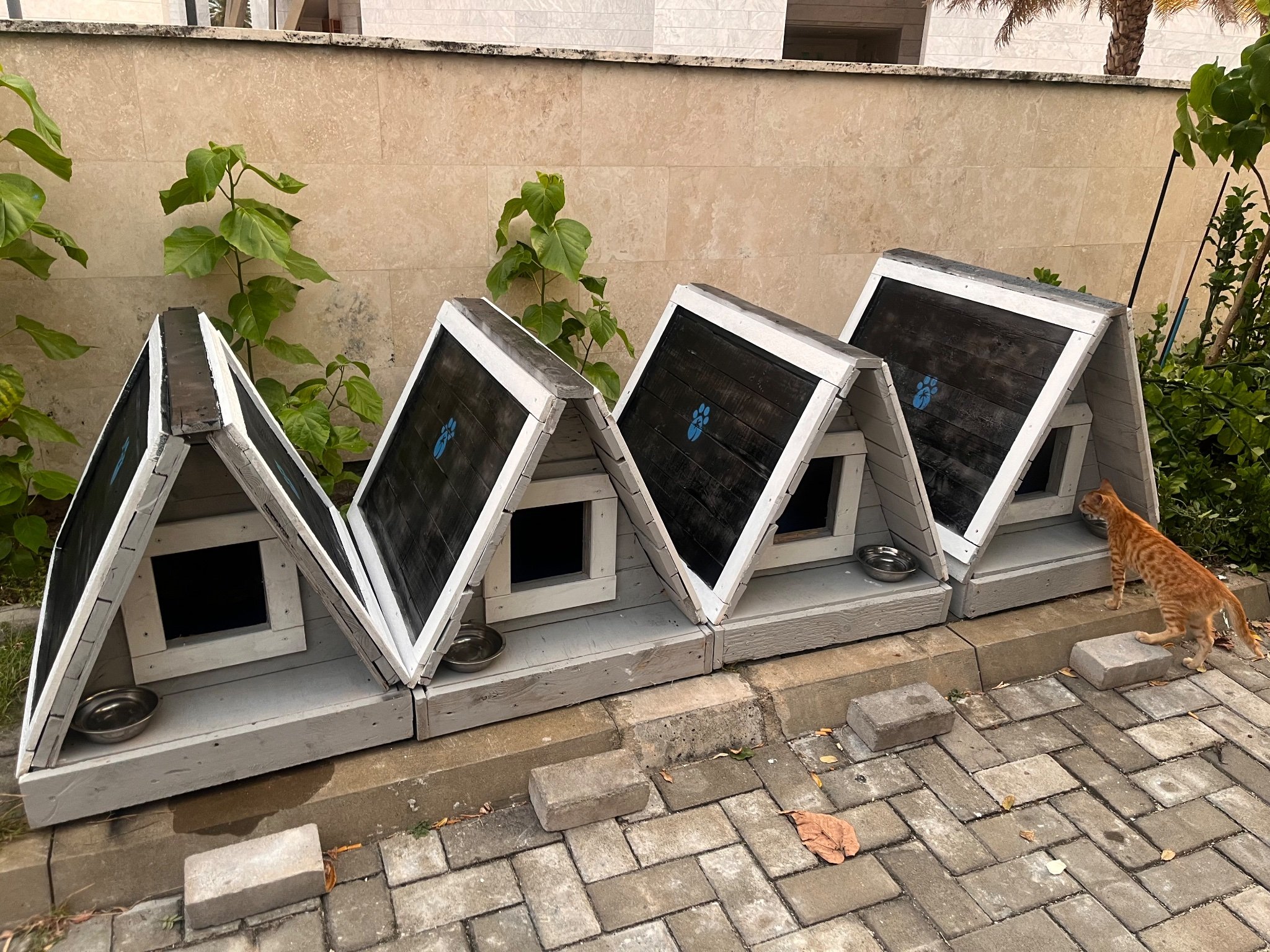 ސަލްމާން މިސްކިތް ކައިރީ އުޅޭ ބުޅާތަކަށް ގެތަކެއް އަޅައިދީފި