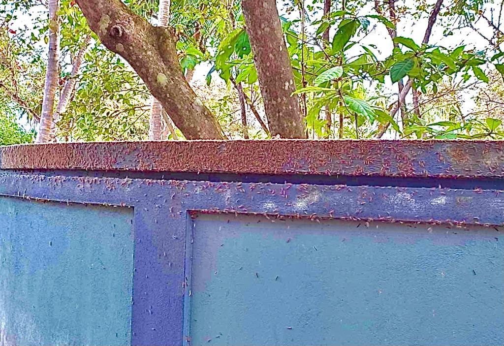 ހުވަނި ގިނަވެ ފ. ނިިިލަންދޫ ރައްޔިތުން ތުރާލެއްގައި