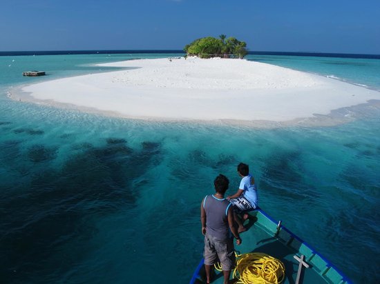 ވަށުގިރި ތަރައްގީ ކުރާ ކުންފުންޏަށް ފަސް ލައްކައިގެ ޖޫރިމަނާއެއް