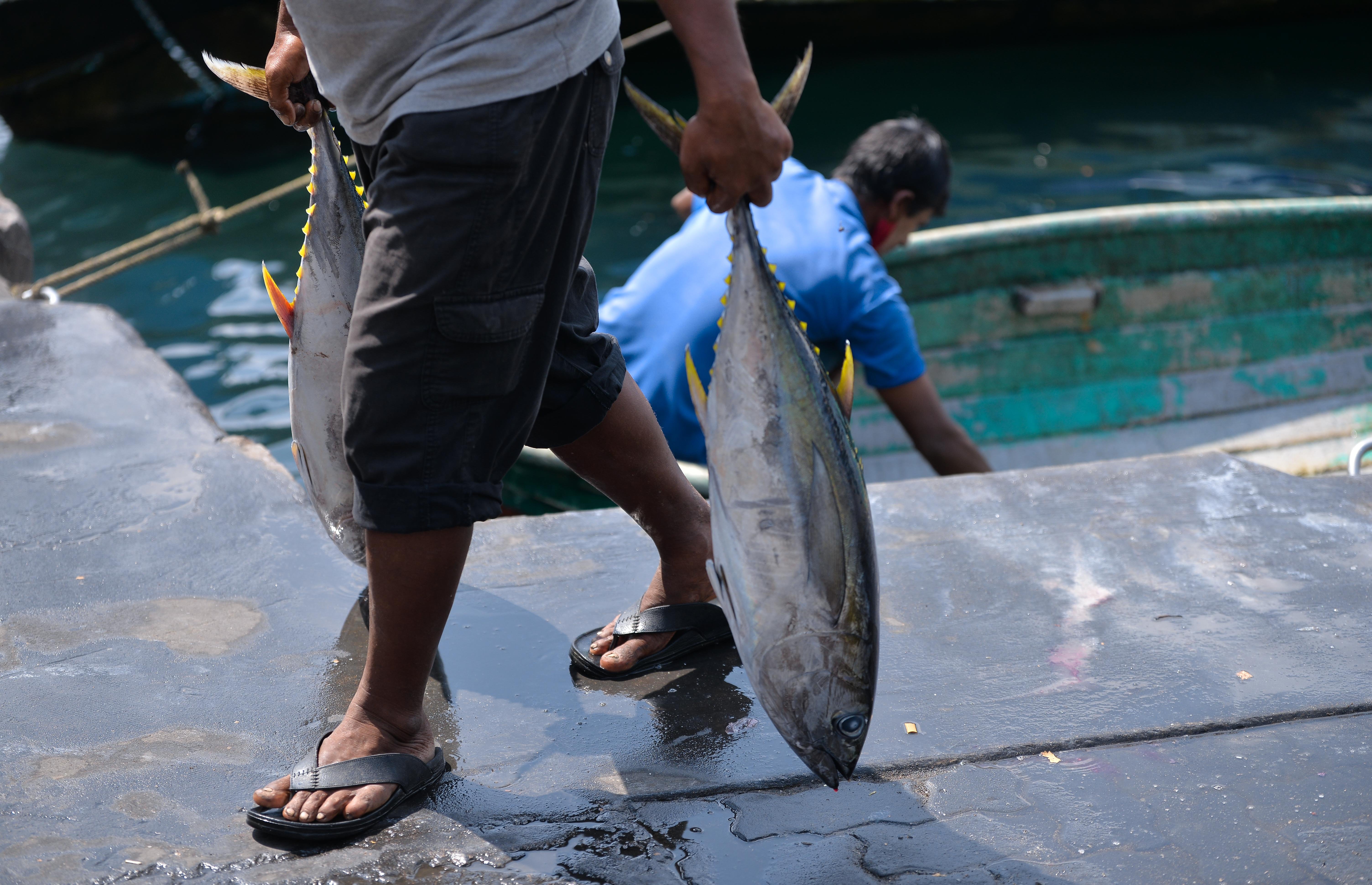 އަންނަ އަހަރު އާ ދެ ސަބްސިޑީ: ނަރުދަމާ އަދި މަސްވެރިންނަށް