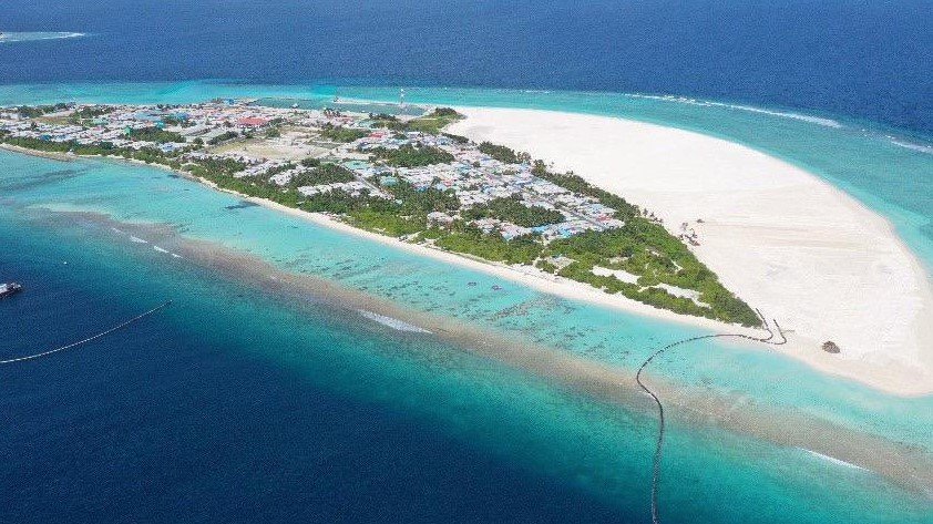 ދުވާފަރުން 22 ހެކްޓަރުގެ ބިން ހިއްކައިފި 