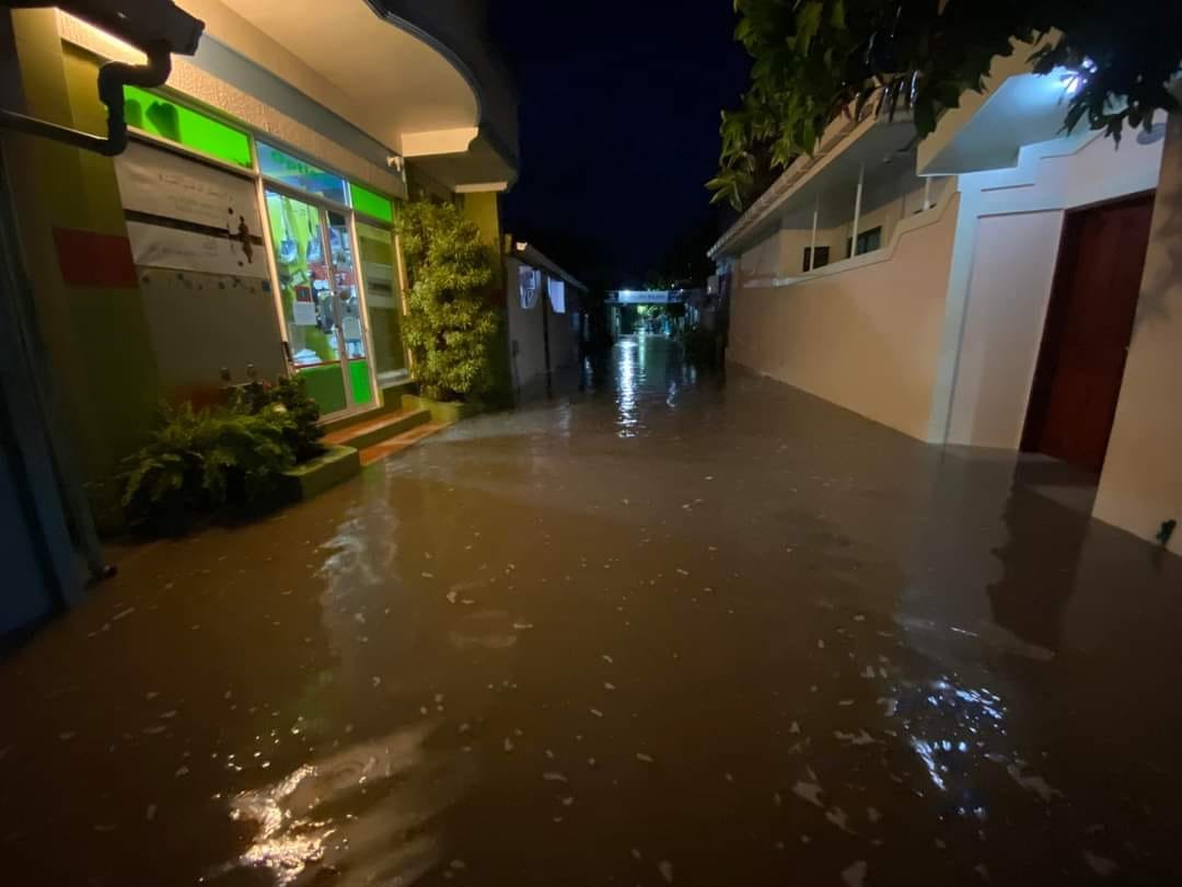 ހުލާސާކޮށް އިއްޔެ: ވިއްސާރައިގައި 84 ގެޔަކަށް ގެއްލުން