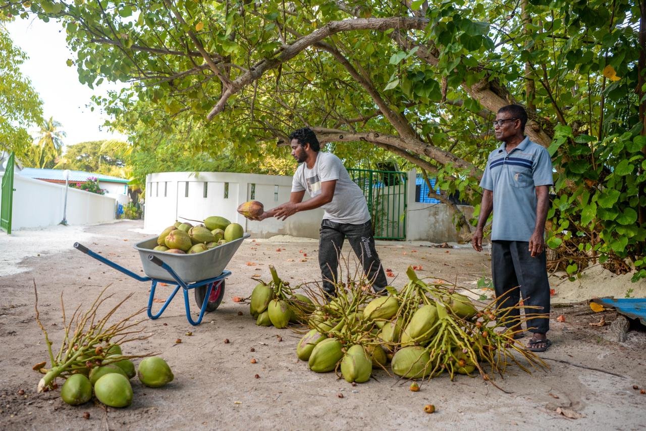 ވ. ތިނަދުއަށް ދިރުންގެނައި އިންޖީނުގެއާއެކު ބޭޑްރިވިއު ނިމުމަކަށް
