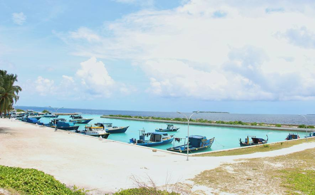 ރަށު ނޯޓު: ފާނަ މަސްވެރިކަމުގެ ބިލެތްދޫ