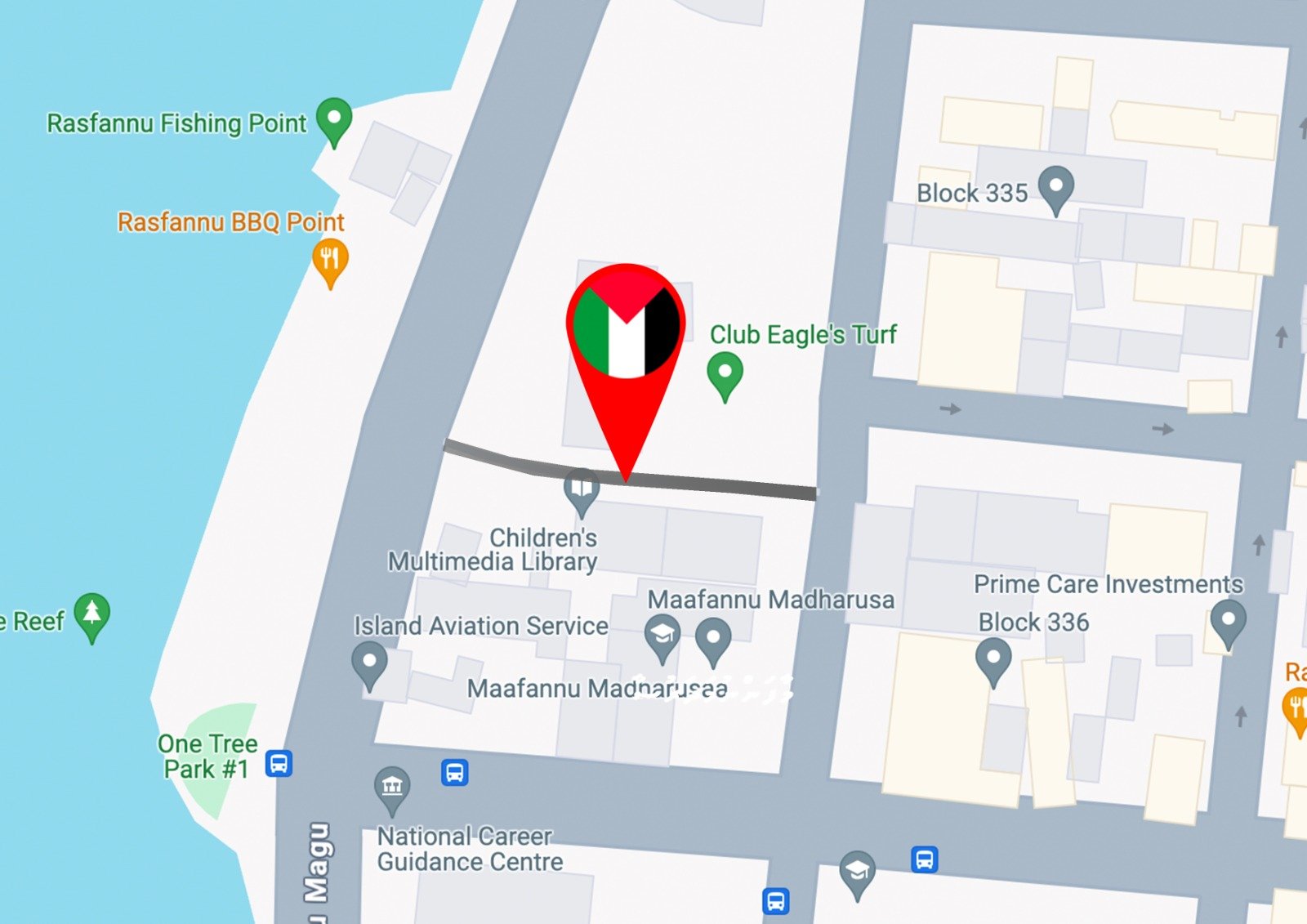މާލެގެ ގޯޅިއަކަށް "ފަލަސްތީނު ހިނގުން" ކިޔަން ފާސްކޮށްފި