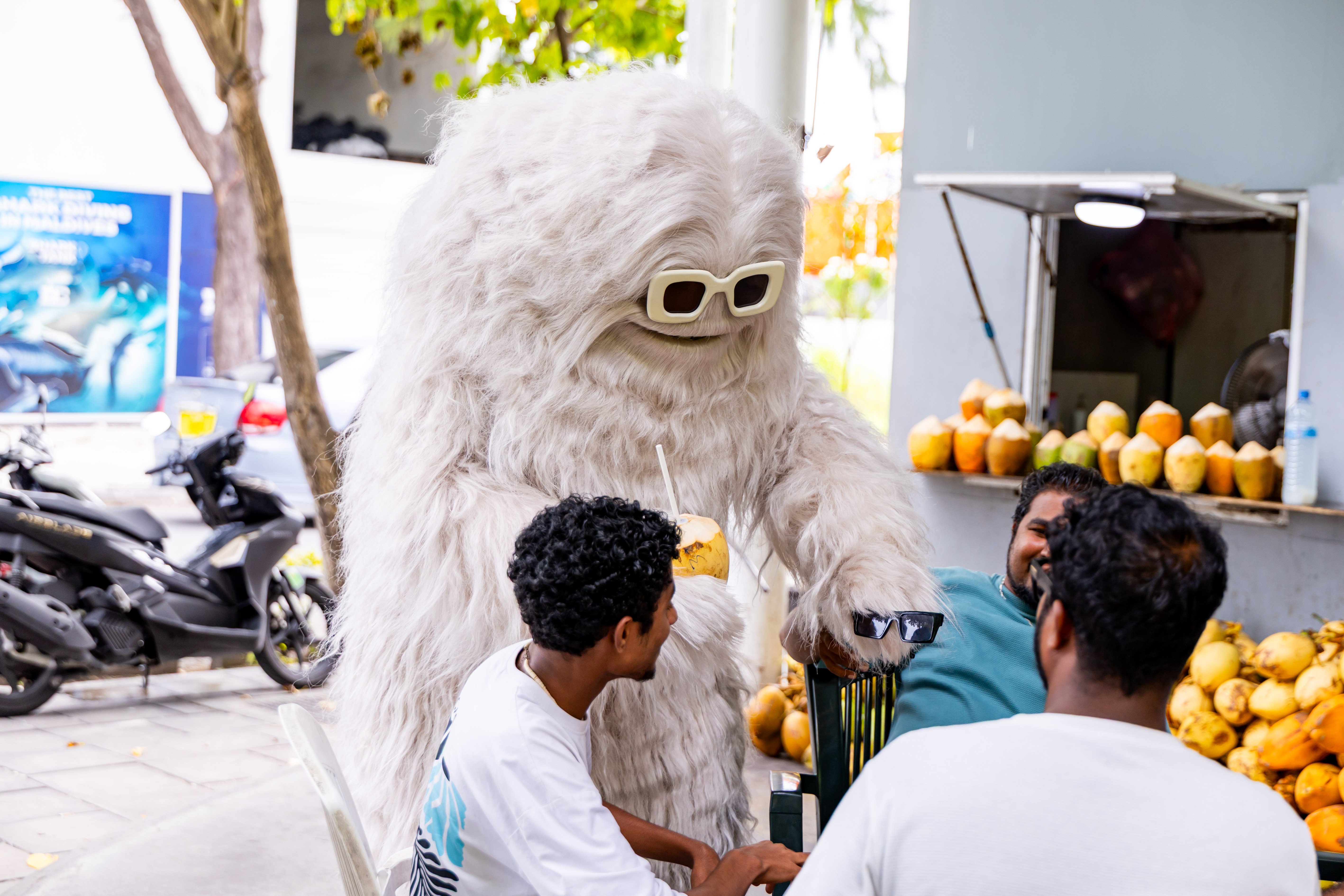 އުރީދޫގެ "ޓްރަބަލް މޭކާސް" ރާއްޖޭގައި، ދިމާވިތަ؟ 