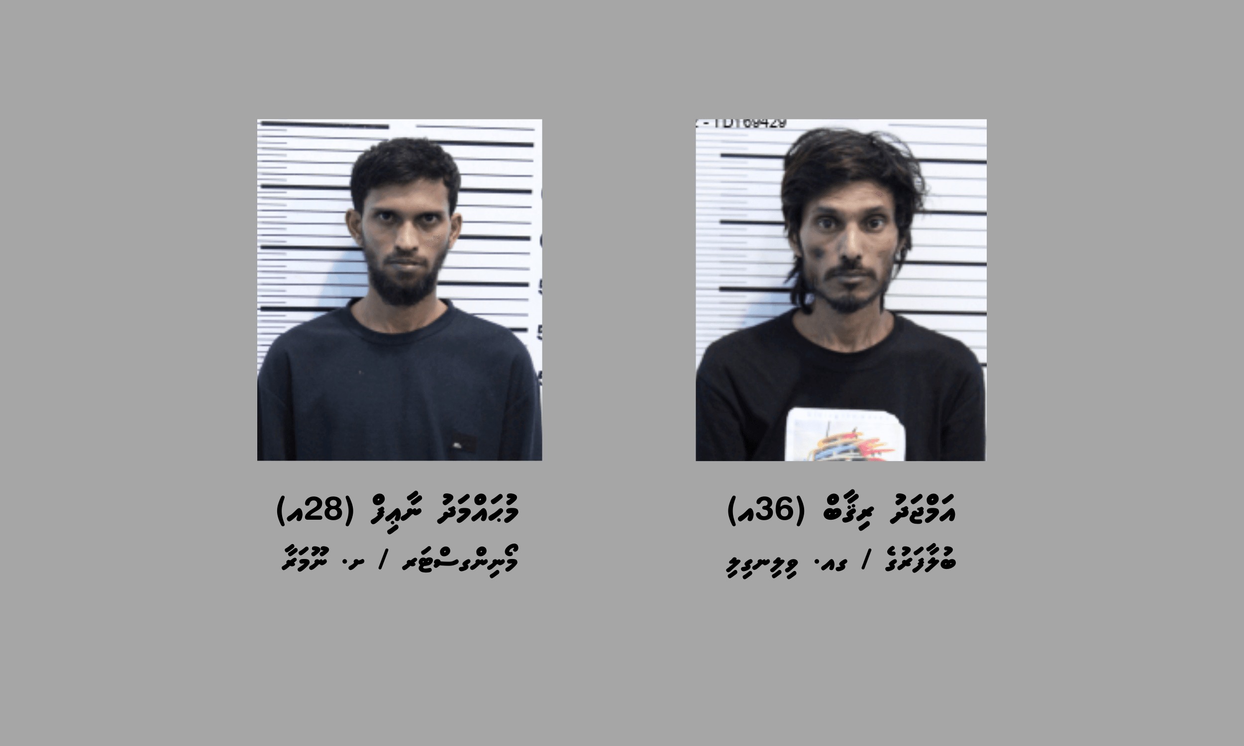 260 ގްރާމްގެ މަސްތުވާތަކެއްޗާއެކު ދެ މީހުން ހައްޔަރުކޮށްފި