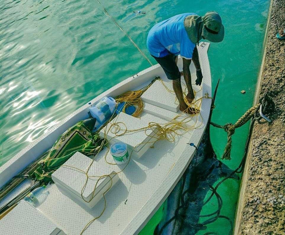 ހަ ގަޑިއިރުގެ މަސައްކަތުން އަބްދޯބެ ތިލަކުރީ 120 ކިލޯގެ ހިބަރެއް