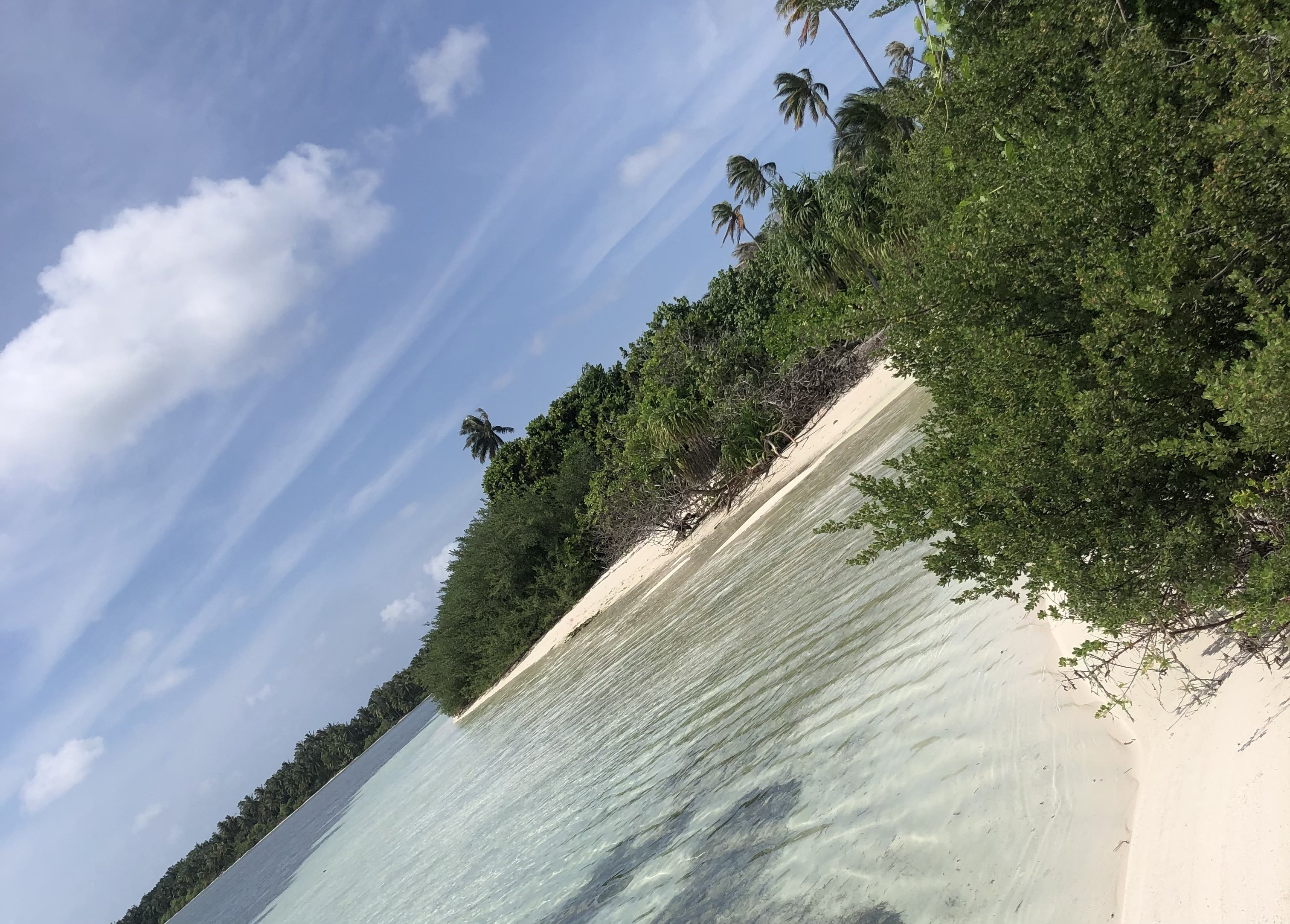 ބޮޑުފިނޮޅުގެ ހިތި ނަތީޖާއެކު ގަމުން ބޭނުންވަނީ ރަށް ނަގަން