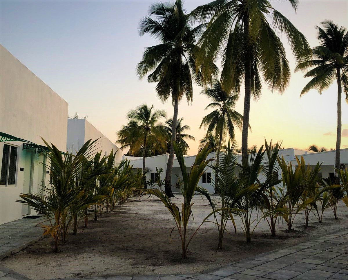 ވިލުނު ސެންޓަރުން އަންނަ ހަފްތާގައި ފަރުވާދޭން ފަށަނީ