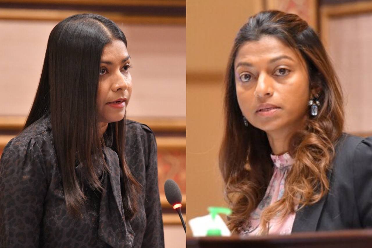 ހުލާސާކޮށް މަޖިލިސް: އީވާ އާއި ރޮޒެއިނާގެ ބަހުސެއް