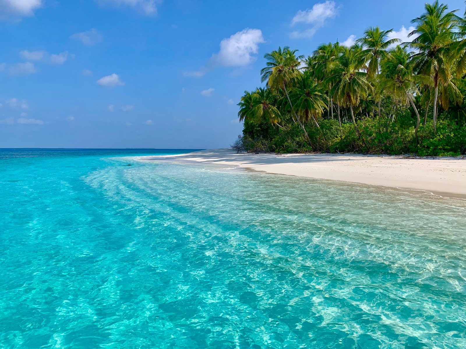 ކައުންސިލްތަކަށް 25 ފަޅުރަށް ދޫކުރަން ހުޅުވާލައިފި 