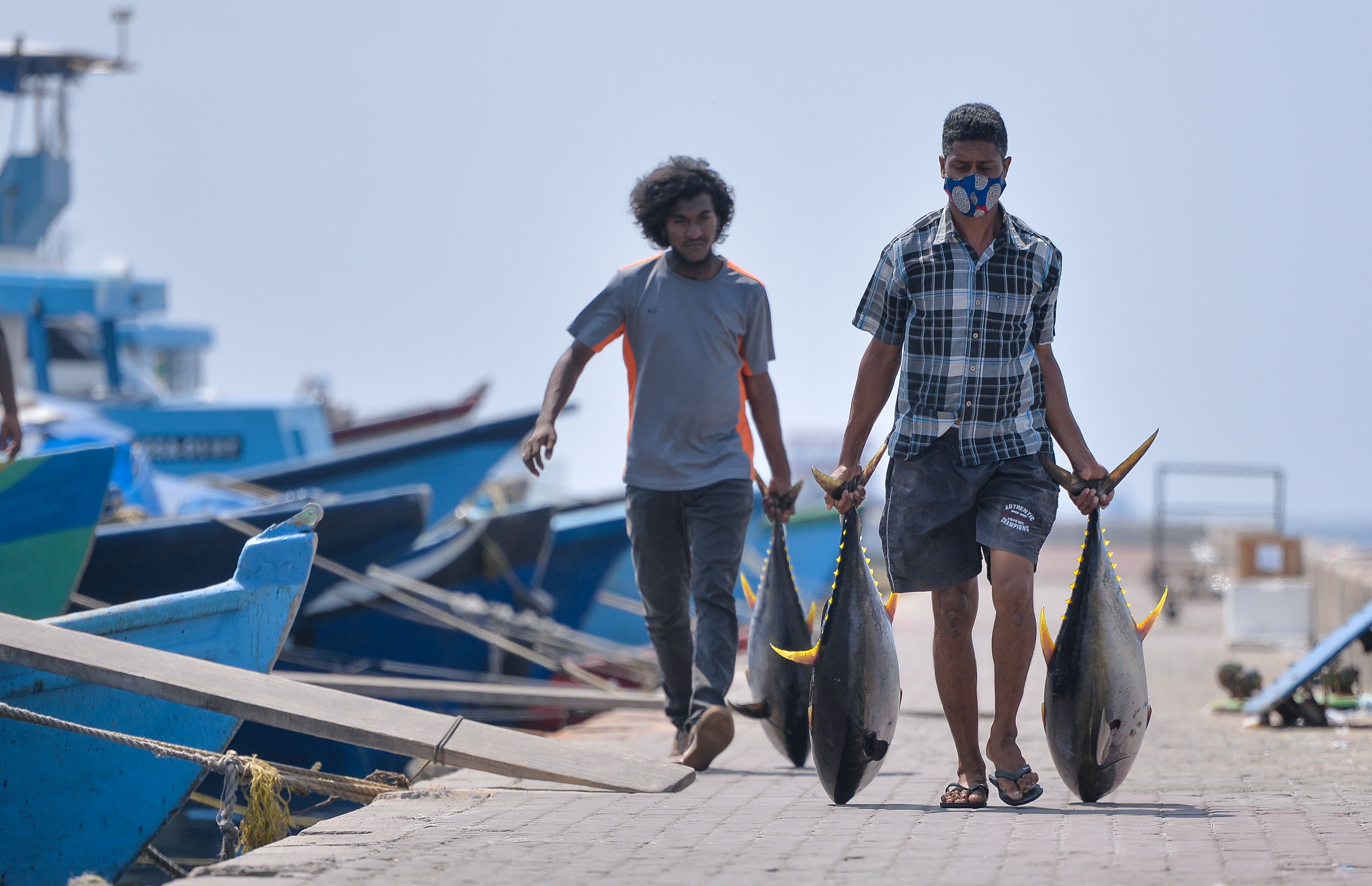 އަޅާލުމެއް ނެތް؛ ބޮޑު ކަންނެލި މަސްވެރިންގެ ގިނަ ޝަކުވާތަކެއް