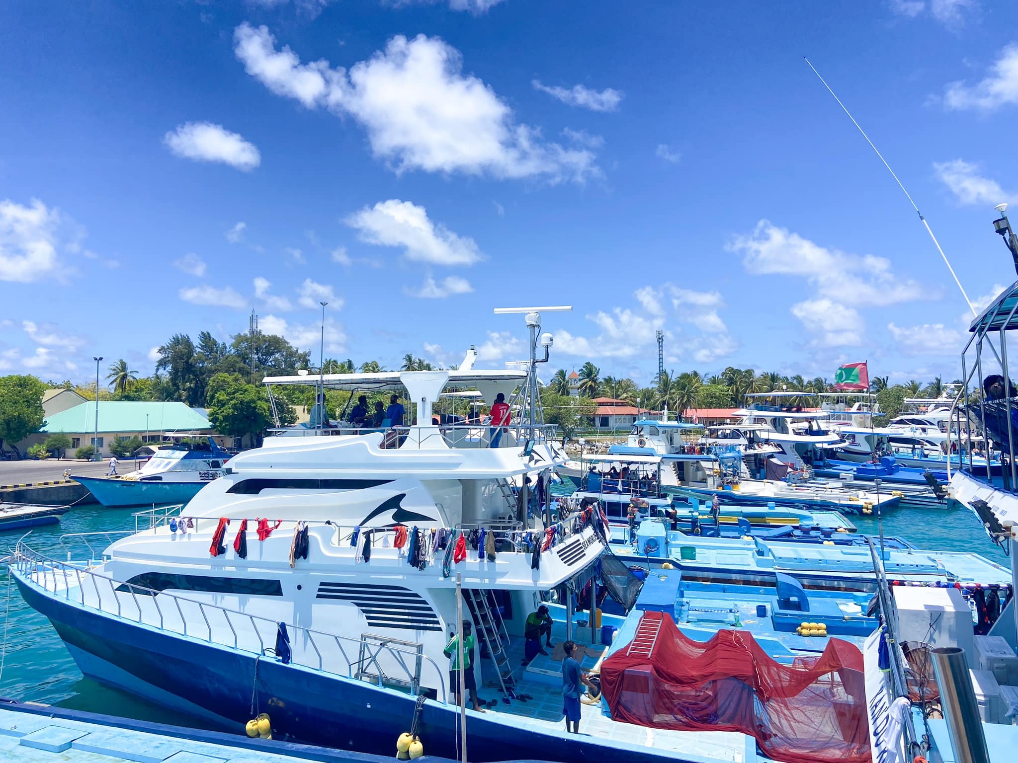 ކޫއްޑޫއަށް 800 ޓަނުގެ މަސް ގަނެވޭނެ ގޮތް ހަމަޖައްސަނީ