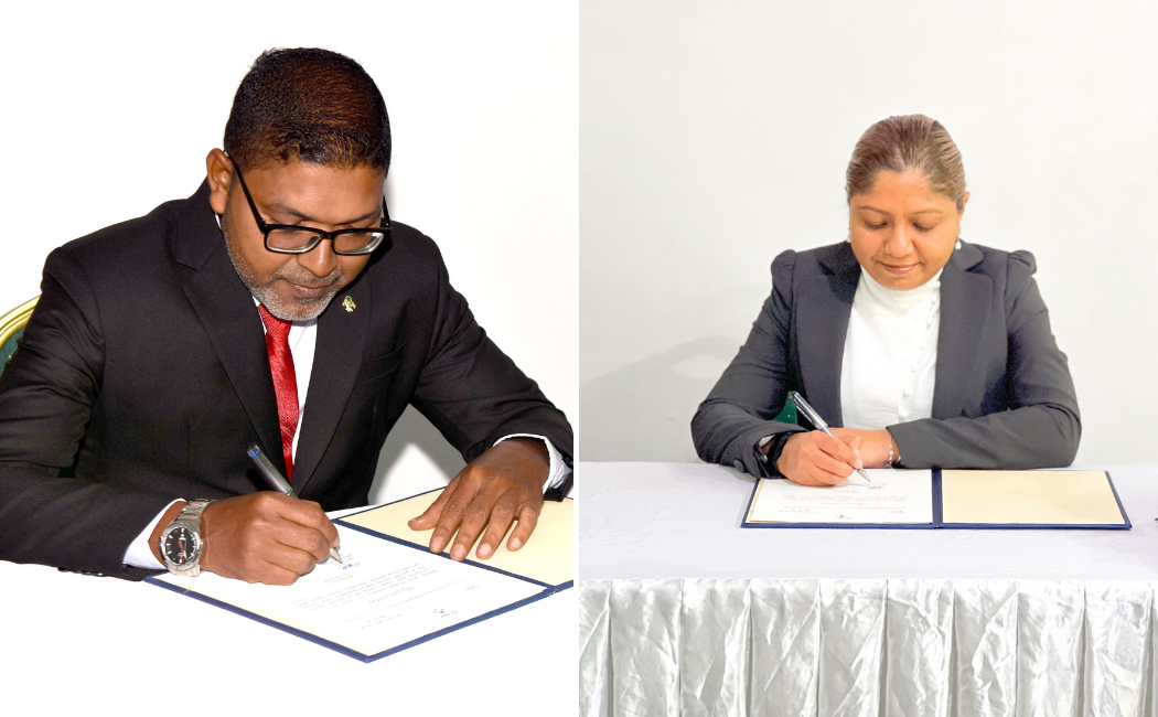 ހައި ކޯޓަށް ދީބާނާޒް އާއި ސަލީމް އައްޔަންކޮށްފި