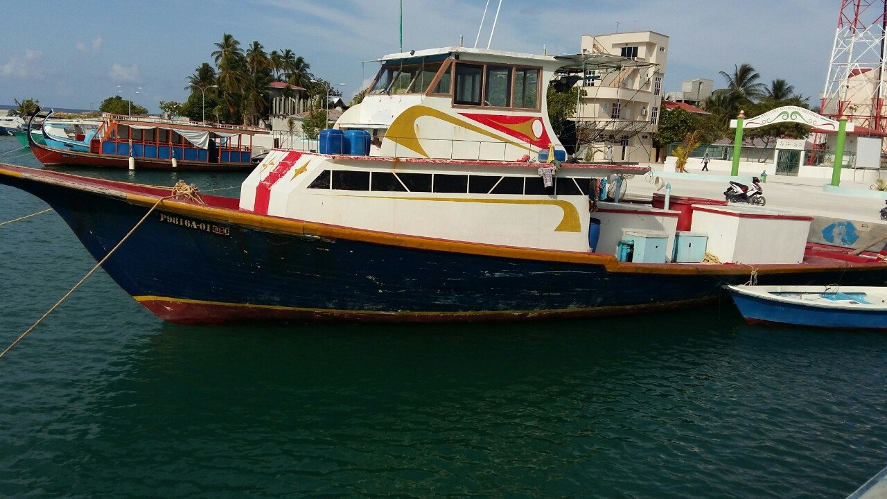 ތިން މީހުންނާއެކު މަސް ދޯންޏެއް ގެއްލިގެން ހޯދަނީ 