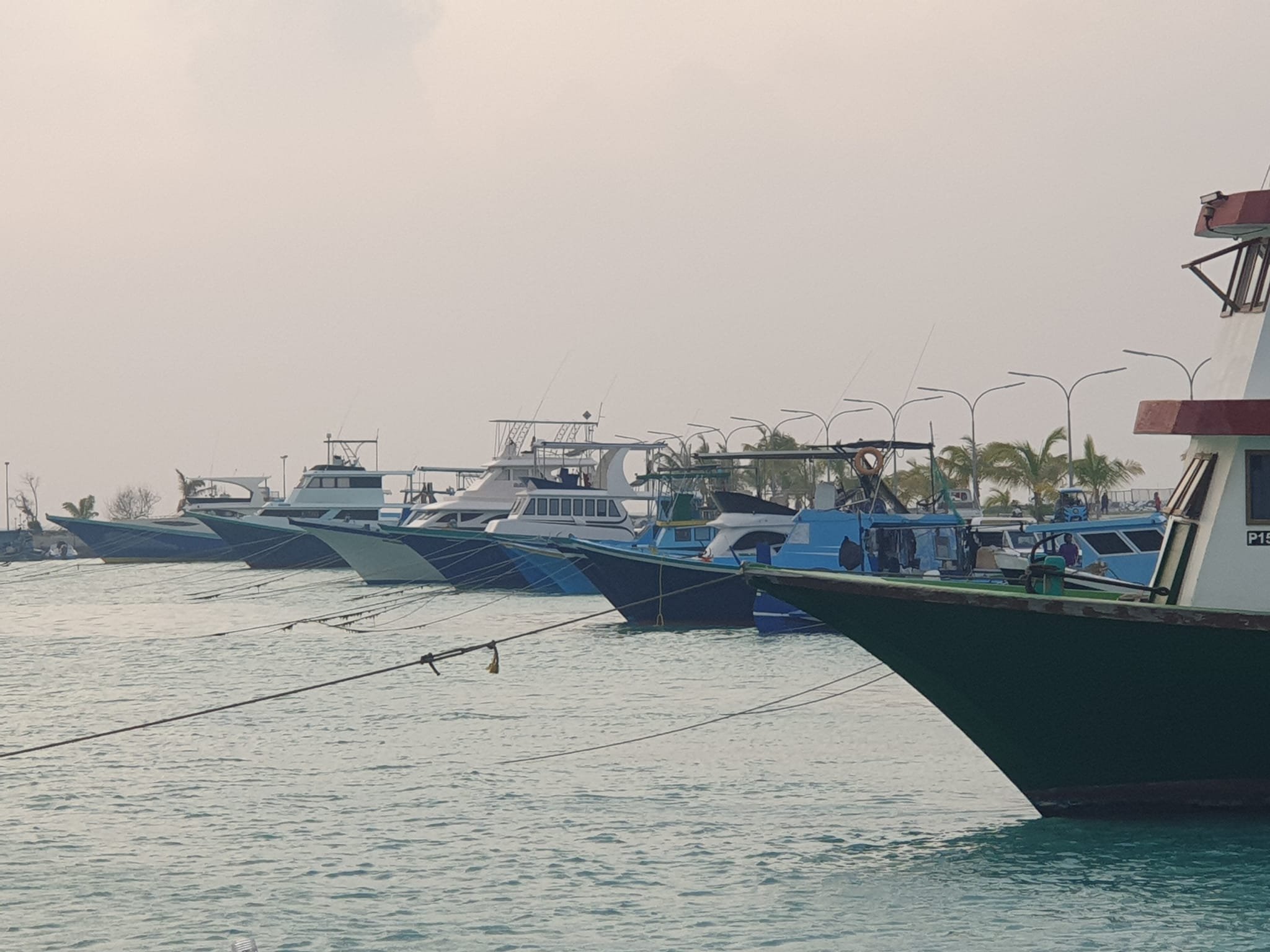 މިފްކޯއިން ވިއްކާ ތެލުގެ އަގު ވެސް ބޮޑުކޮށްފި