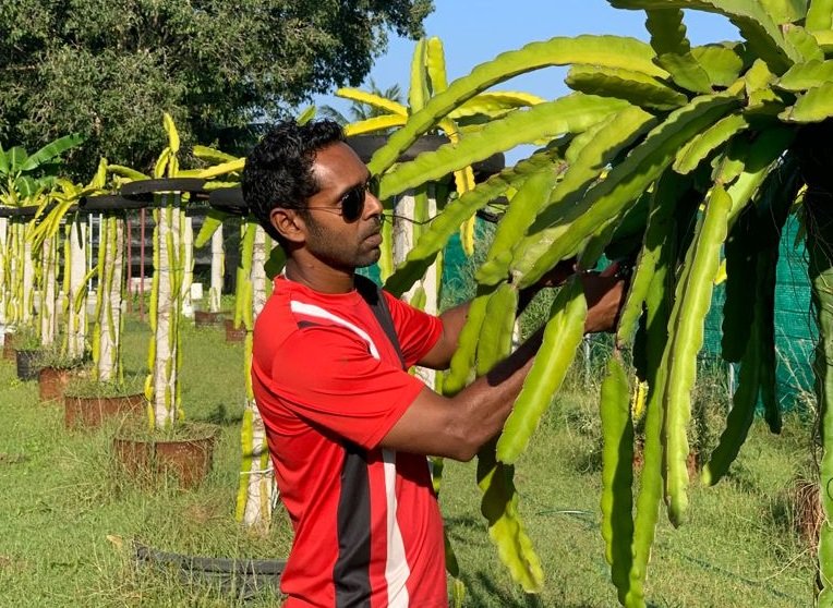 މީދޫ އިން ރަމްޒީ މި ލިޔަނީ ދަނޑުވެރިކަމުގެ ތަފާތު ބާބެއް!